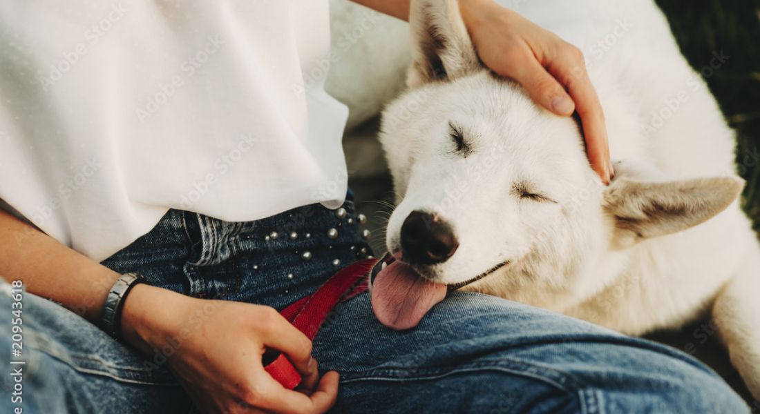 Young couple playing and hugging their pet labrador dog while sitting on the sofa by the window in the living room at home